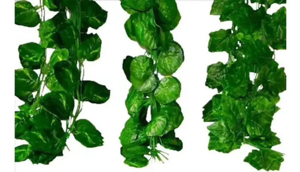 Enredadera 1 Paquete X 12und De210 Cm Hoja Mata Fina Grande  10