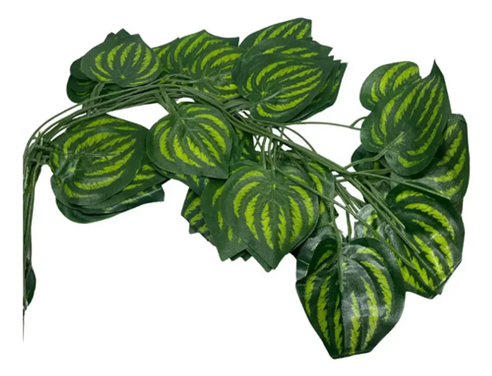 Enredadera 1 Paquete X 12und De210 Cm Hoja Mata Fina Grande  11