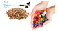 10000 Hidrogel Bolas Orbeez Municiones Decorativo Multicolor - Miniatura 3
