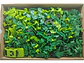 Pista De Dinosaurios Con Carro Eléctrico Juguete Interactivo - Miniatura 6