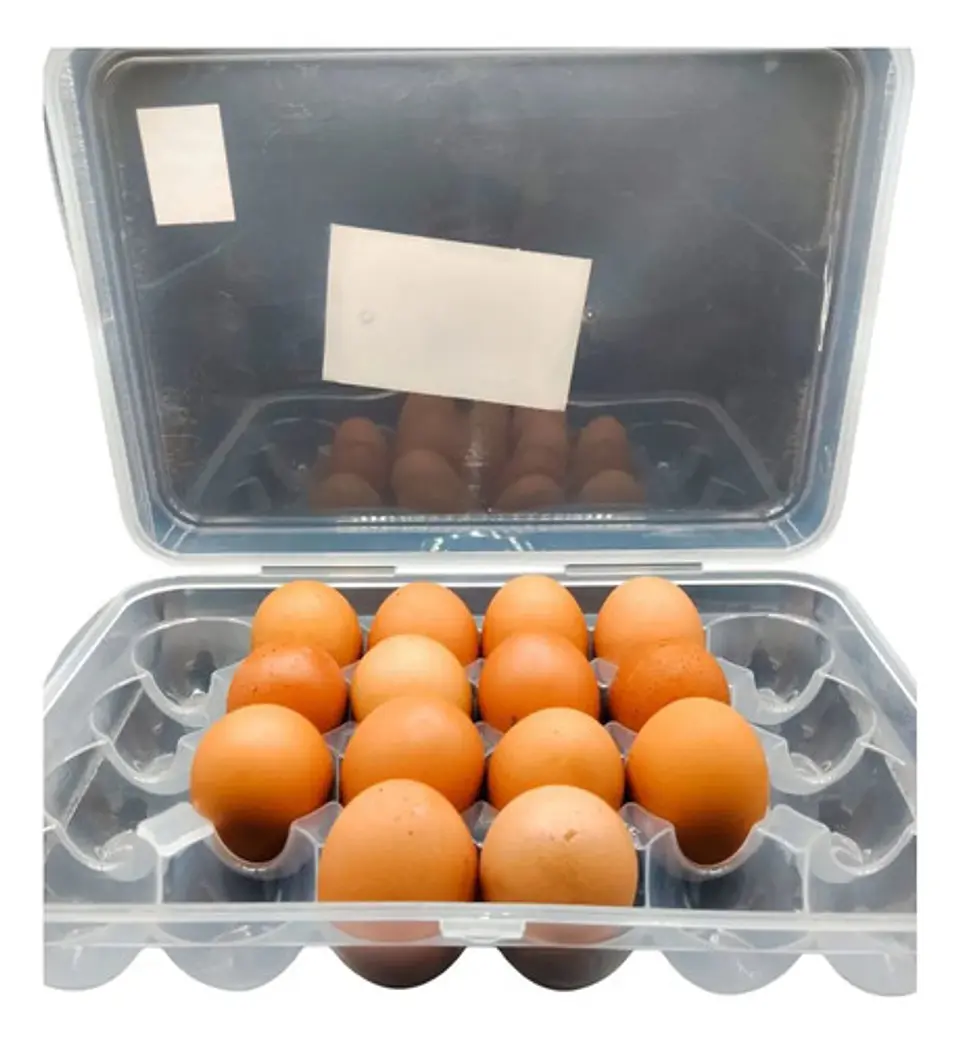 Cubeta Organizadora De Huevos X24 Con Tapa 4