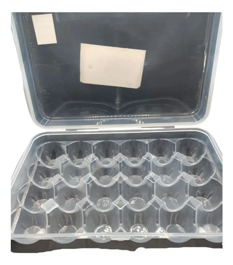 Cubeta Organizadora De Huevos X24 Con Tapa 5