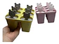Molde Helado X6 Diseño Osito Con Tapa Práctico Y Divertido - Miniatura 5