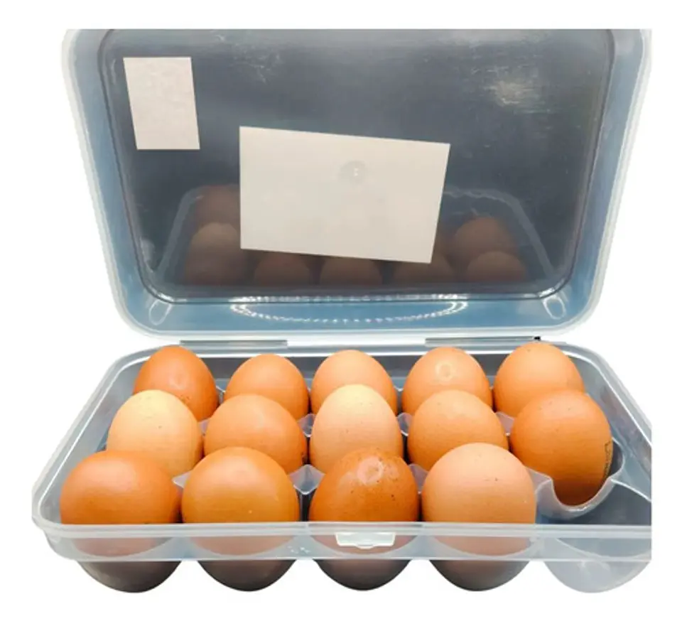 Cubeta Organizadora De Huevos X15 Con Tapa 3