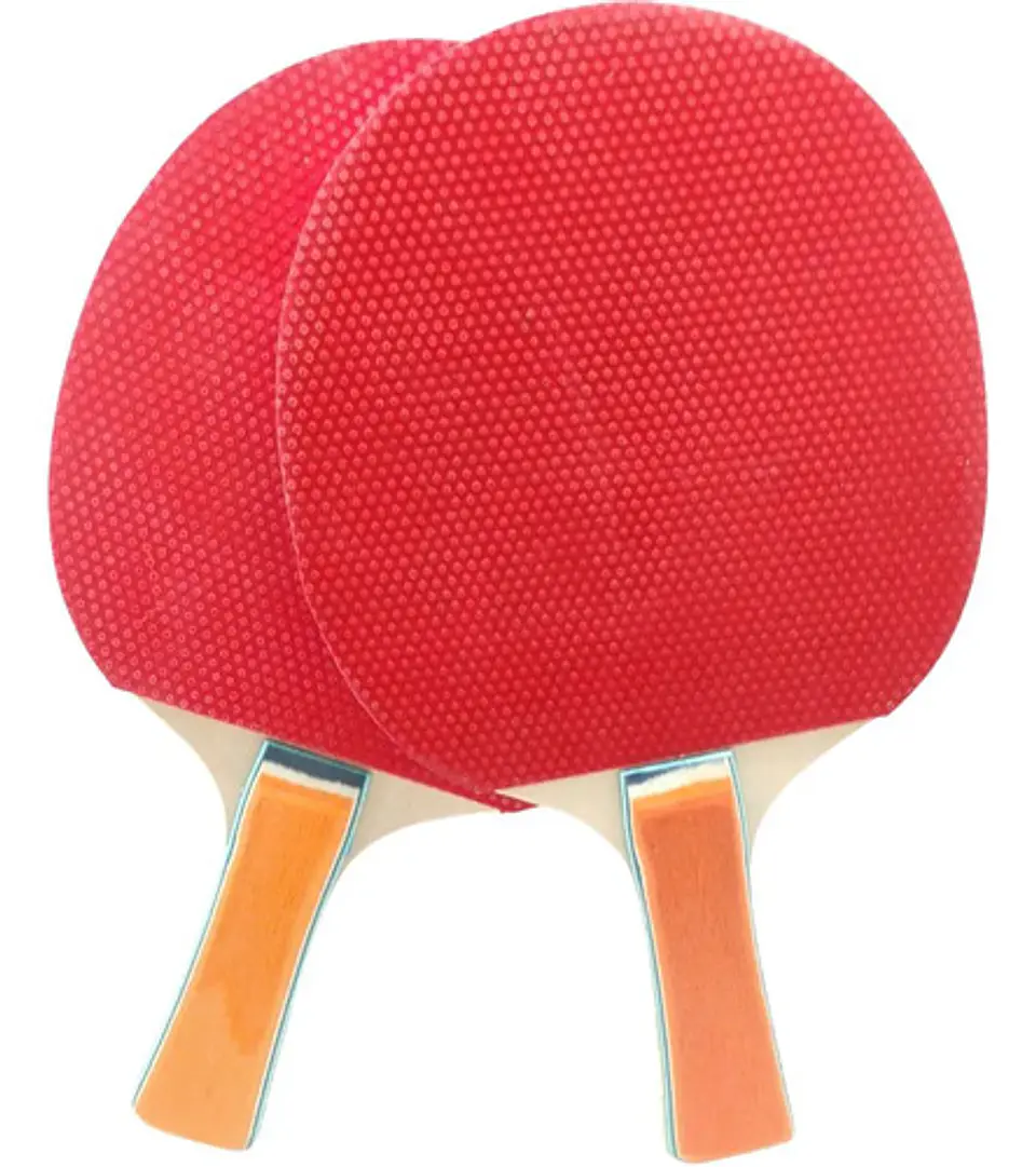 Kit Malla Adaptable + Ping Pong Raquetas Deporte Raqueta Red 5