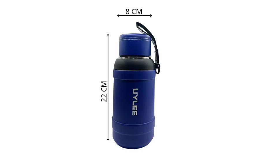 Termo Acero Inoxidable 600 ml Conserva Frío y Calor 6