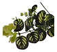 Rama Colgante Artificial Premium Hojas Realistas Decorativas - Miniatura 3