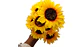 Ramo de Girasoles Artificiales Realistas con Follaje Premium Decorativo - Miniatura 1