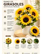Ramo De Girasoles Artificiales Realistas Con Follaje Premium - Miniatura 3