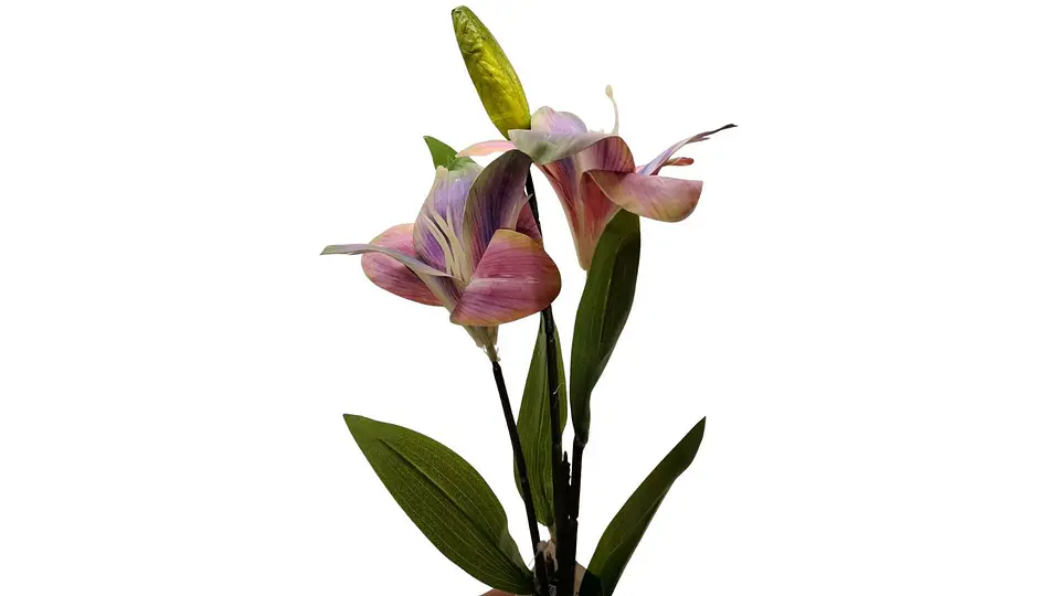 Lirios Artificiales Premium con Capullos y Follaje Natural 5