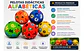 Pelota Didáctica Premium  Aprende, Juega Y Diviértete - Miniatura 4