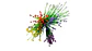 Tallo Floral Silvestre Para Arreglos Y Decoración - Miniatura 1