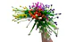 Tallo Floral Silvestre Para Arreglos Y Decoración - Miniatura 2