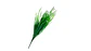 Tallo Floral Silvestre Para Arreglos Y Decoración - Miniatura 3