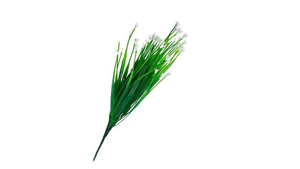 Tallo Floral Silvestre Para Arreglos Y Decoración 3