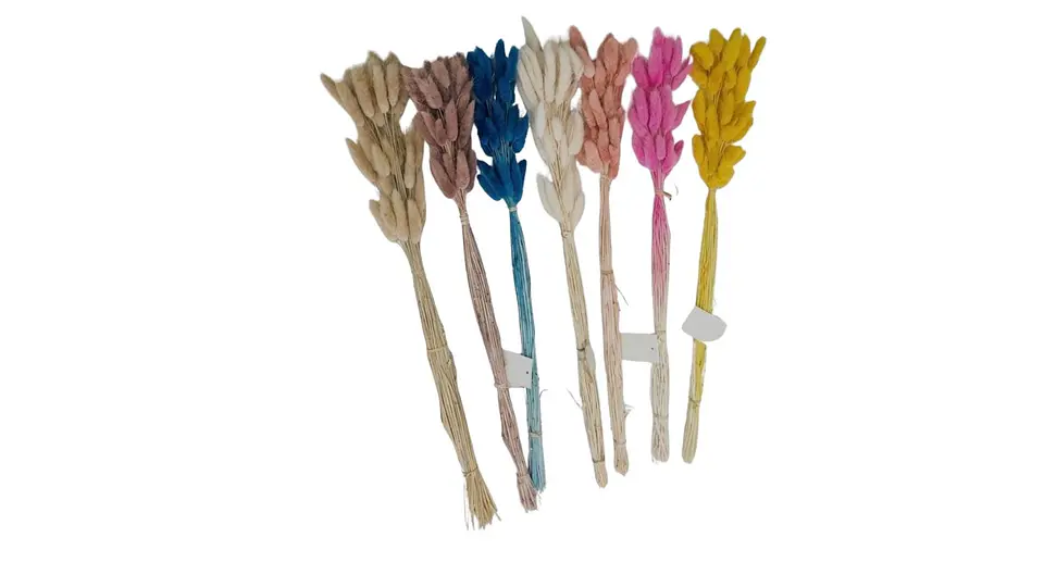 Cola De Raton Natural Decorativa Para Arreglos Floral Hogar 1
