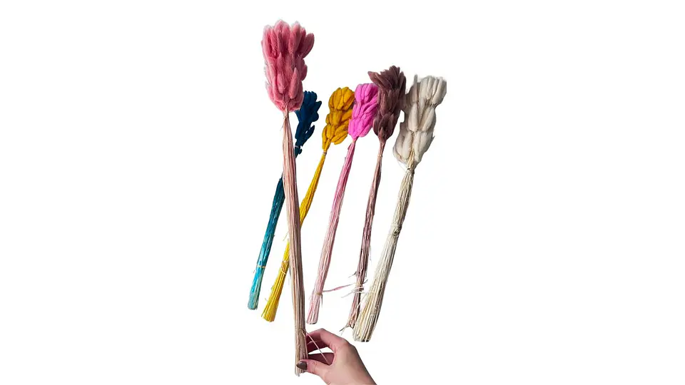 Cola De Raton Natural Decorativa Para Arreglos Floral Hogar 2
