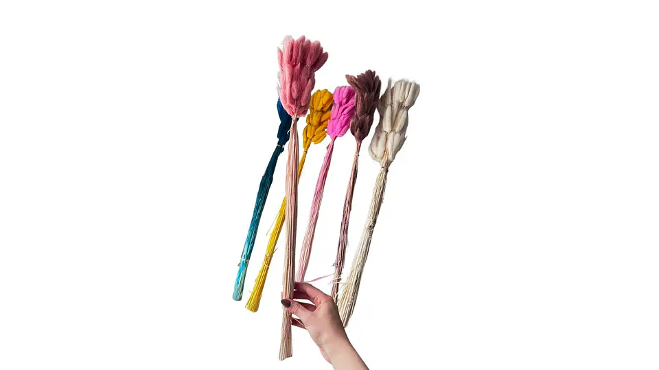 Cola De Raton Natural Decorativa Para Arreglos Floral Hogar 3