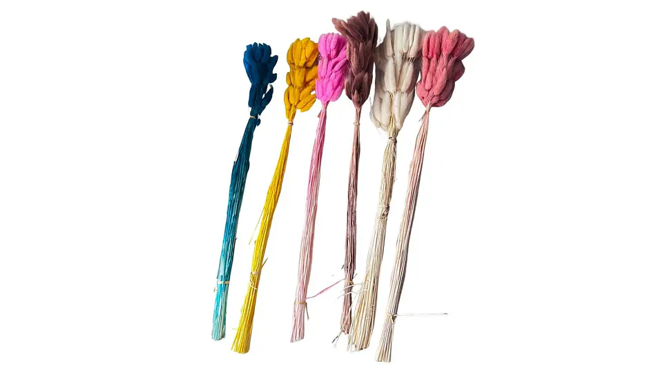 Cola De Raton Natural Decorativa Para Arreglos Floral Hogar 4