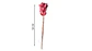 Cola De Raton Natural Decorativa Para Arreglos Floral Hogar - Miniatura 5