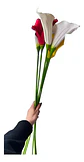 Flor Cala Artificial Multicolor Tallo Largo Decorativo Hogar - Miniatura 3