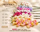 Orquídea Decorativa Artificial Premium Para Arreglos Flor - Miniatura 2