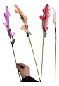 Adorno Floral Artificial Chirosa Fomi Para Eventos Y Hogares - Miniatura 5