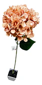Rama De Hortensia Artificial Decorativa Para Hogar Y Eventos - Miniatura 6