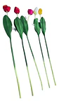 Flor Tulipán Artificial Multicolor Para Adornar Tus Espacios - Miniatura 7