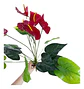 Gladiolo Artificial Rojo Decorativo Para Hogar Y Tus Eventos - Miniatura 6