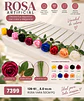 Rosa Artificial Multicolor Elegante Para Decorar Tus Espacio - Miniatura 2