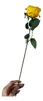 Rosa Artificial Multicolor Elegante Para Decorar Tus Espacio - Miniatura 3