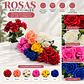 Ramo De Rosas Artificiales Multicolor Para Decorar Tu Hogar - Miniatura 2