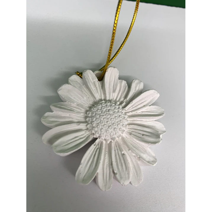 Margarida em Gesso Perfumado 3