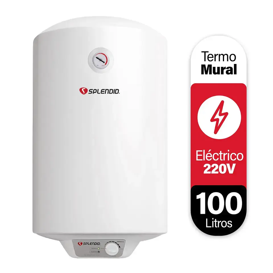 Termo Eléctrico 100 Litros 6