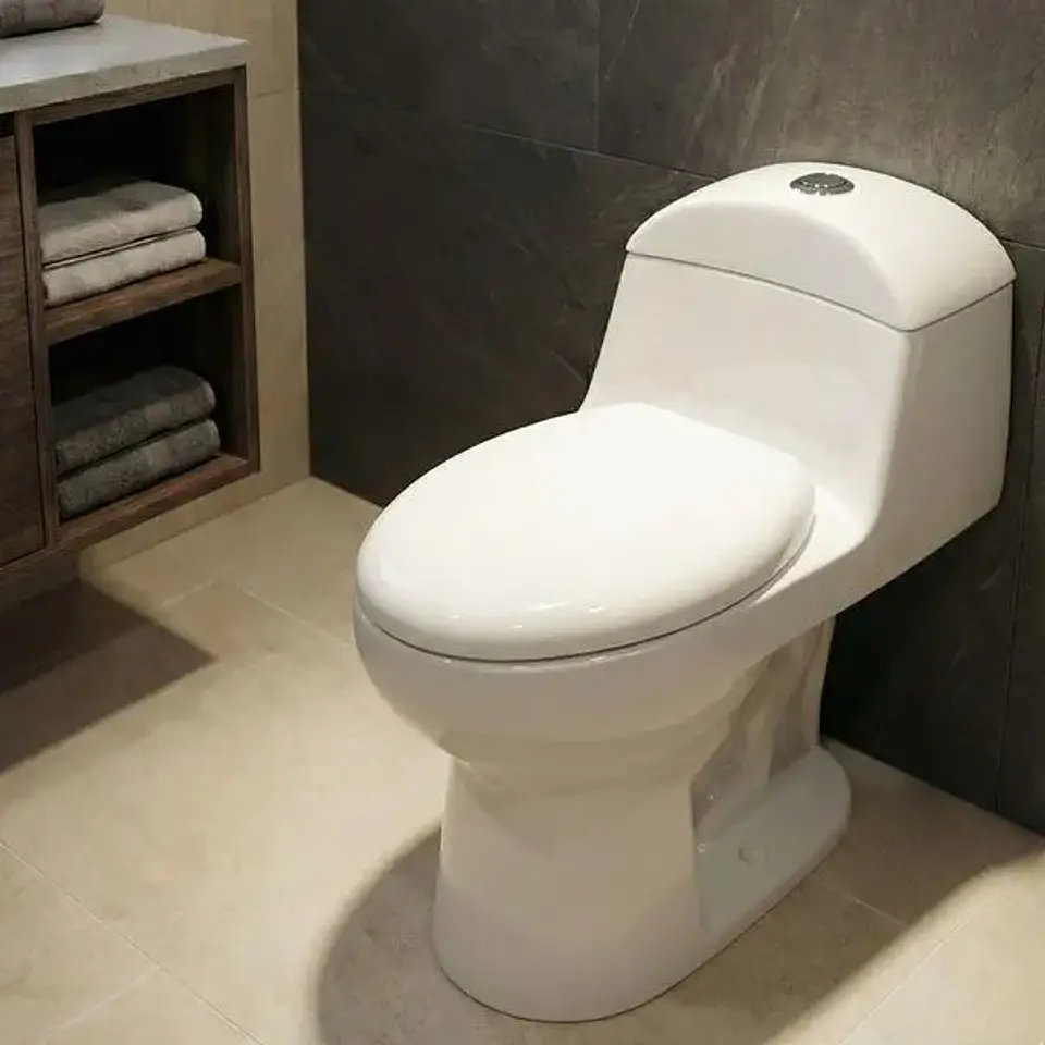 Sanitario One Piece Olimpia Blanco Descarga Piso 300 mm 3