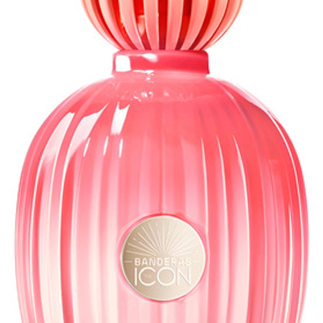 The Icon Splendid Women Edp 100 Ml Antonio Banderas 1