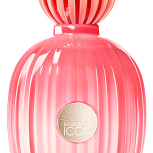 The Icon Splendid Women Edp 100 Ml Antonio Banderas