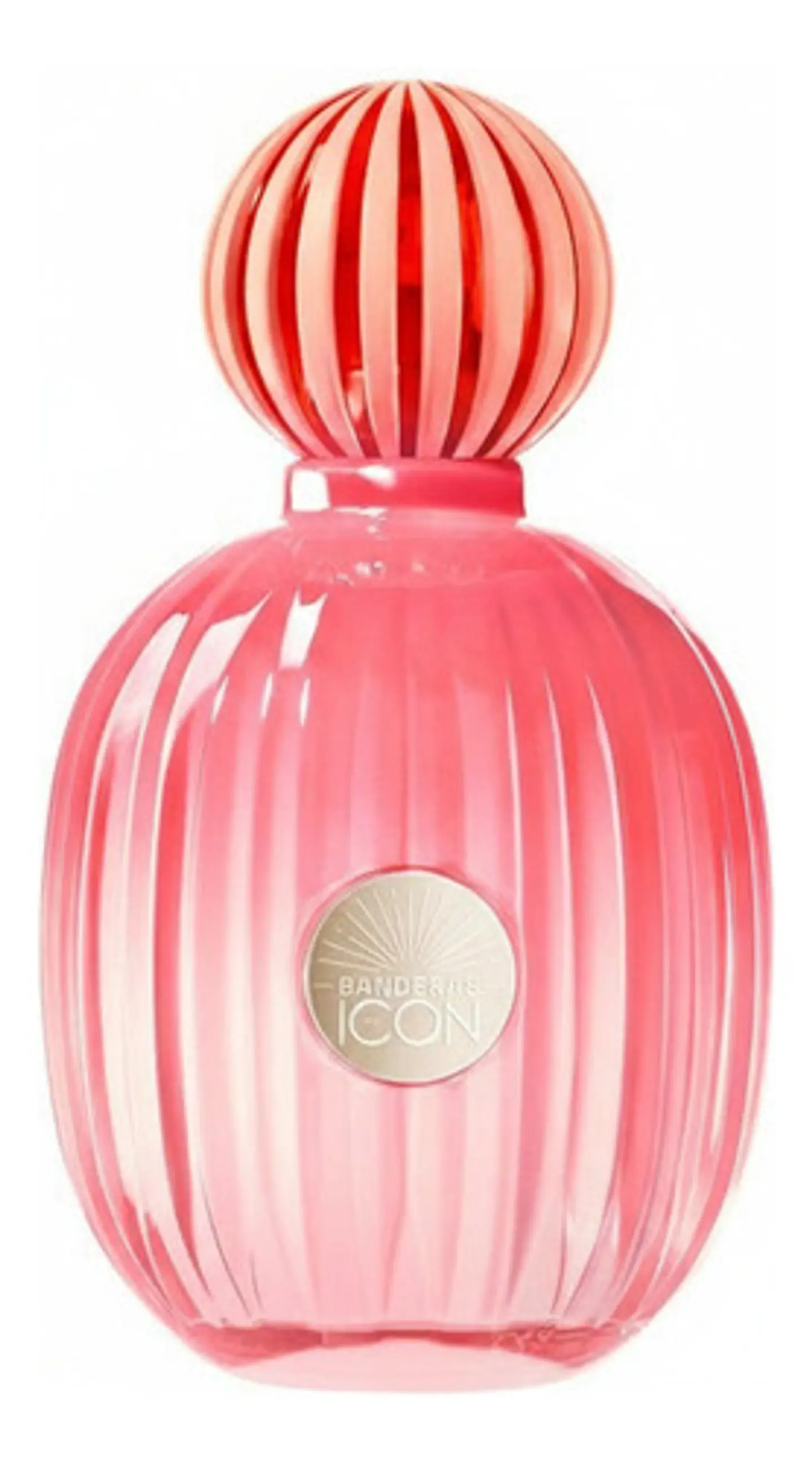 The Icon Splendid Women Edp 100 Ml Antonio Banderas 7