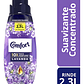 Suavizante Concentrado Comfort Aroma Lavanda 500 Ml - Miniatura 1