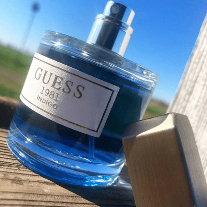 1981 Indigo For Men Edt 100 Ml Hombre Guess 6