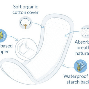 Natracare Apósito Para Incontinencia Slim Dry & Light