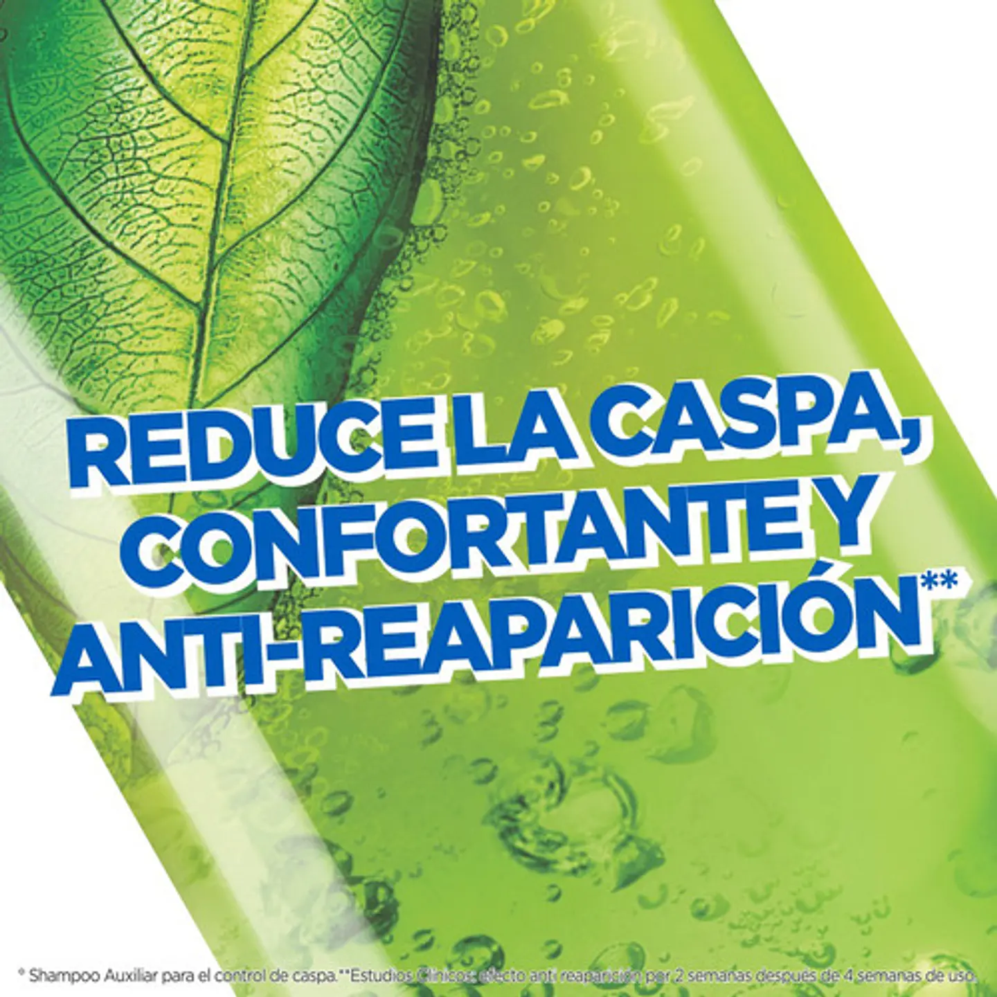 Shampoo Fructis Anticaspa 2 En 1 Normal Y Graso 350 Ml 3