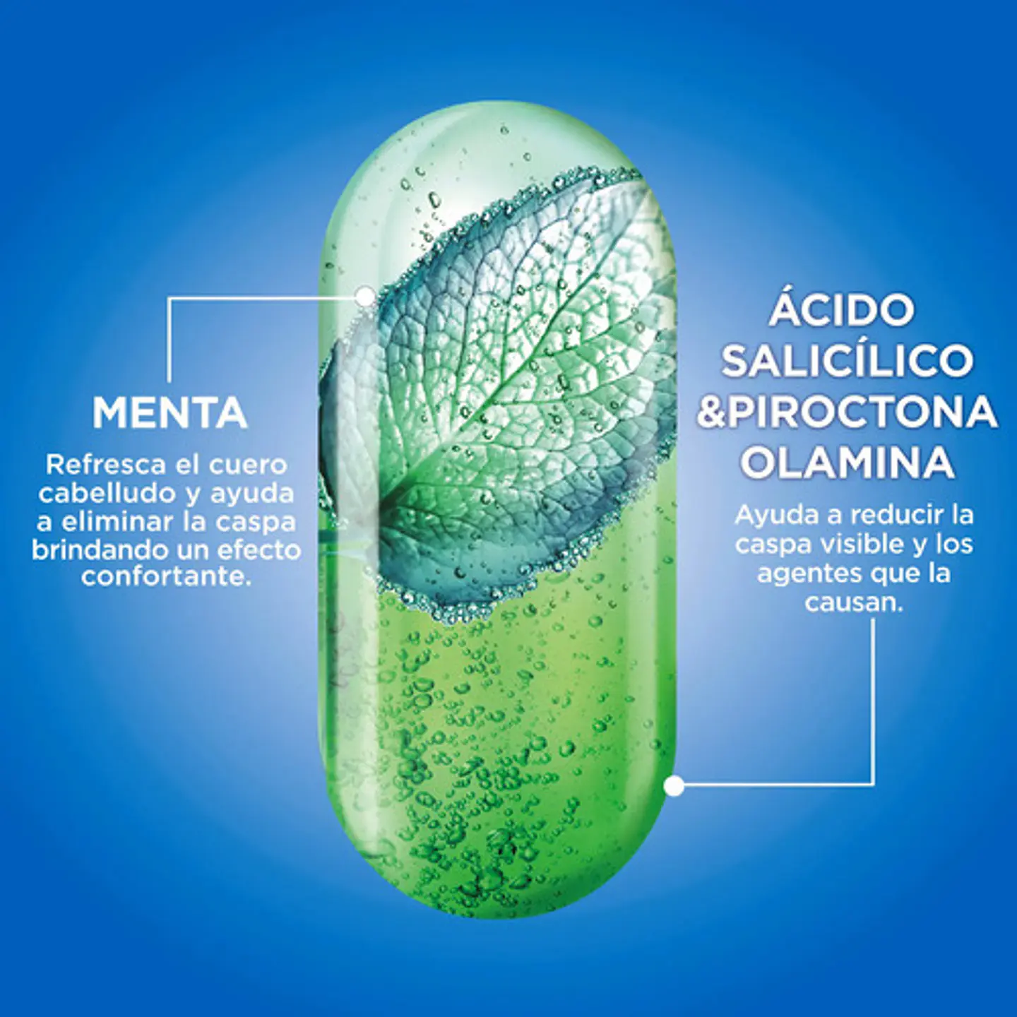 Shampoo Fructis Anticaspa 2 En 1 Normal Y Graso 350 Ml 5