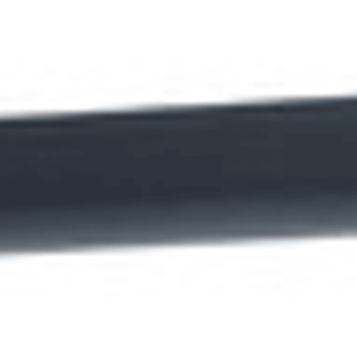 Pincel Detalle P19 - Pfiffery 1