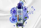 Shampoo Centaurea Cyanus Canoso 750ml Familand - Miniatura 2