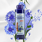 Shampoo Centaurea Cyanus Canoso 750ml Familand - Miniatura 2