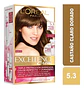 Tintura Excellence Excellence Tintura L'oréal Excellence Creme Tono 5.3 Castaño Claro Dorado Para Cabello - Miniatura 2