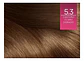 Tintura Excellence Excellence Tintura L'oréal Excellence Creme Tono 5.3 Castaño Claro Dorado Para Cabello - Miniatura 3