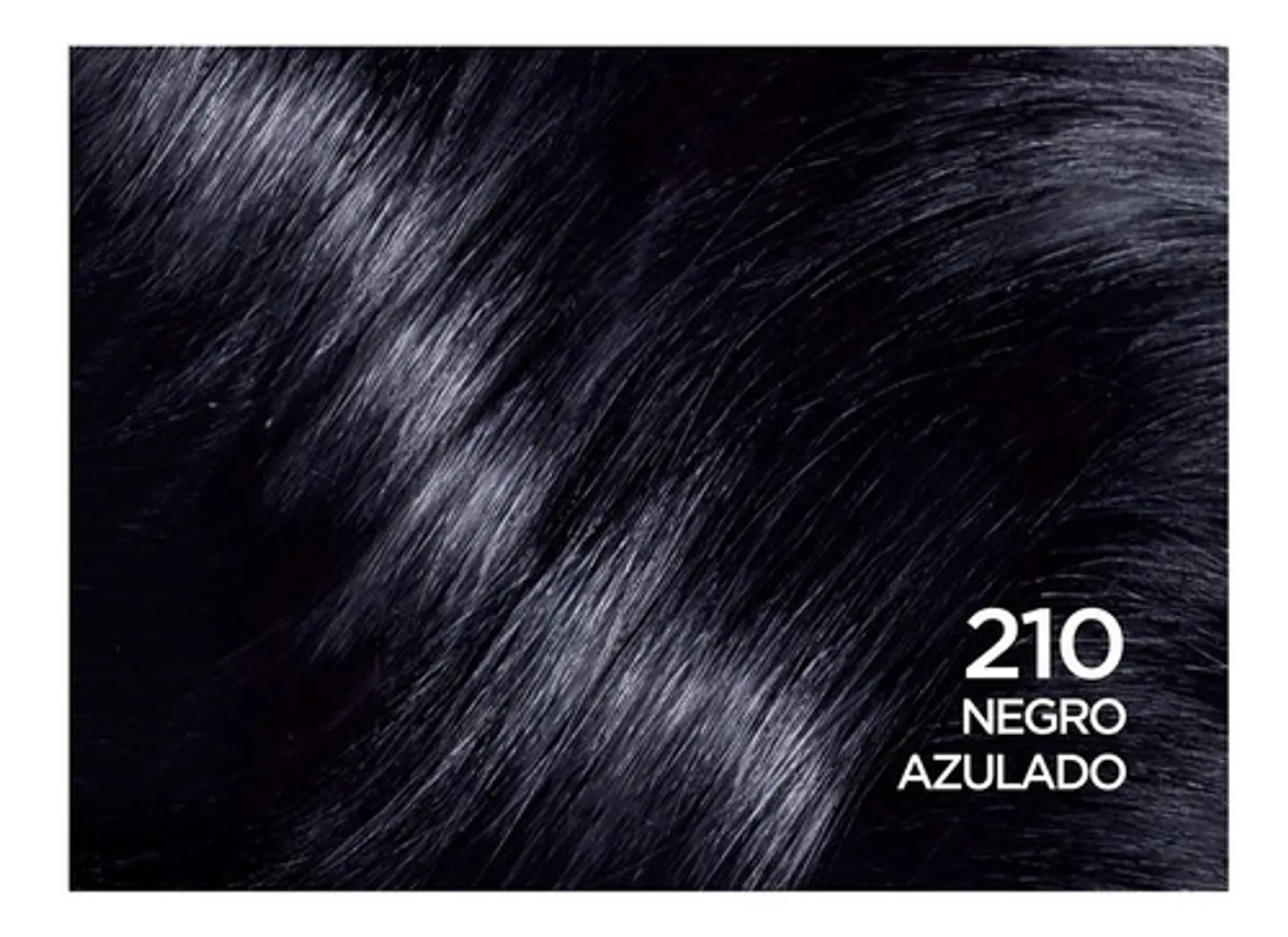 Tintura Casting Creme Gloss 210 Negro Azulado L'oréal 210 Nego Azulado 2